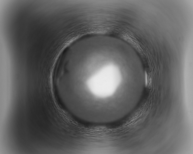 X0000096980483200802081410