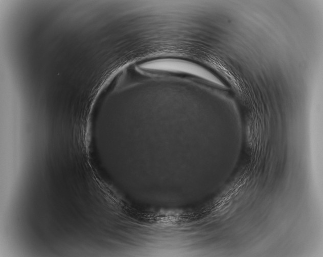 X0000096980484200802081410