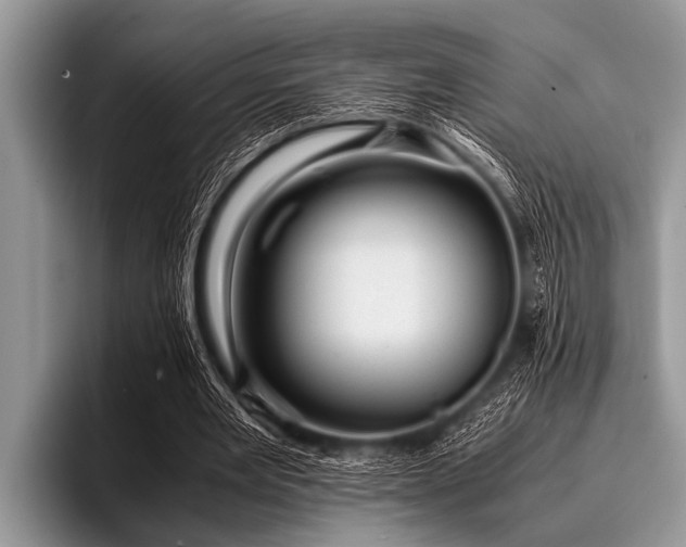 X0000096980485200802081410