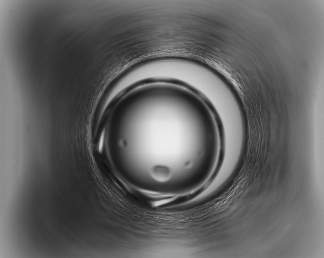 X0000096980487200802081410