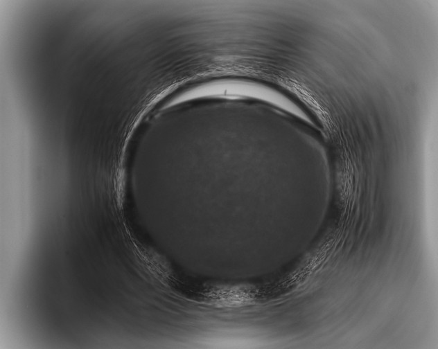 X0000096980488200802081410