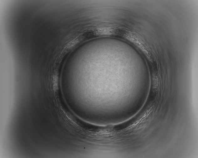 X0000096980489200802081410