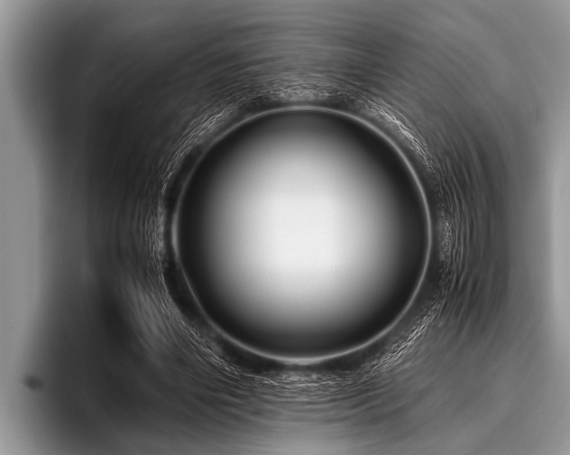 X0000096980490200802081410