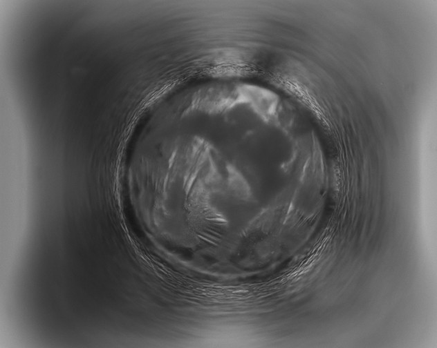 X0000096980491200802081410