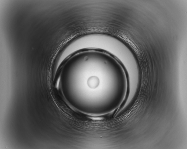 X0000096980492200802081410