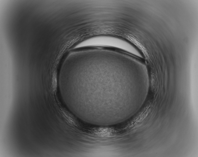 X0000096980493200802081410