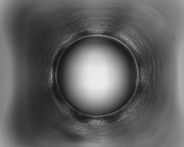 X0000096980494200802081410