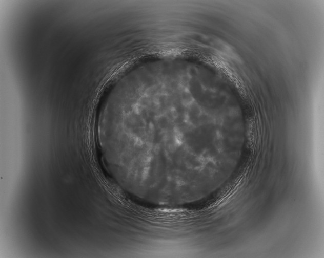 X0000096980495200802081410