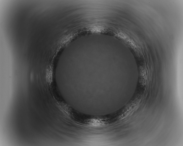 X0000096980496200802081410