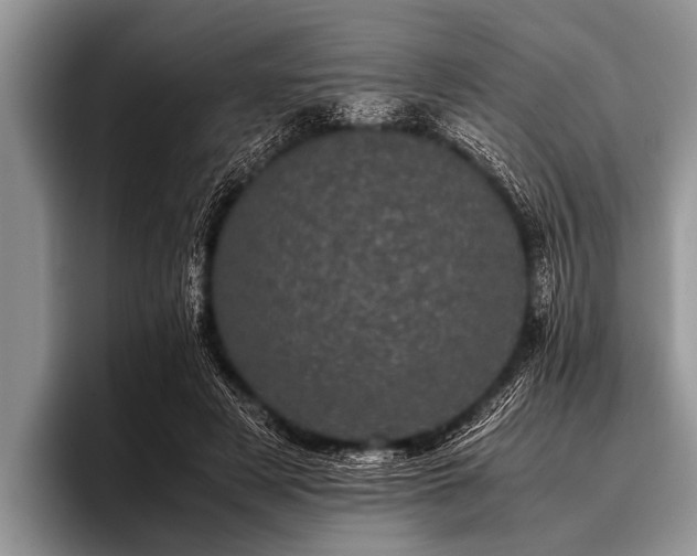 X0000096980497200802081410