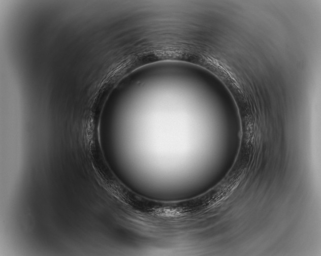 X0000096980498200802081410