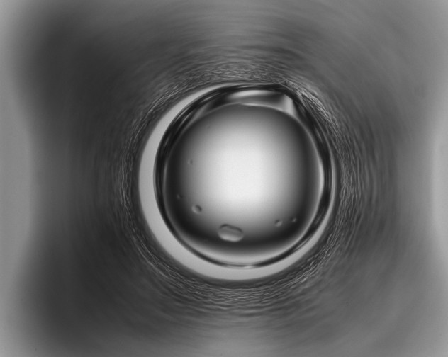 X0000096980499200802081410