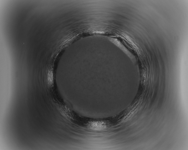 X0000096980500200802081410