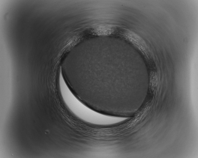 X0000096980501200802081410