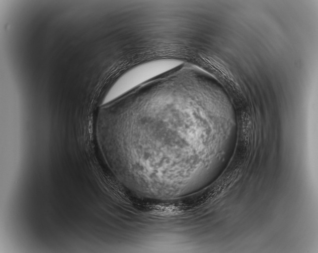 X0000096980502200802081410