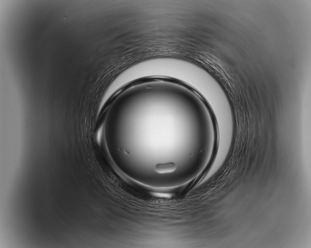 X0000096980503200802081410