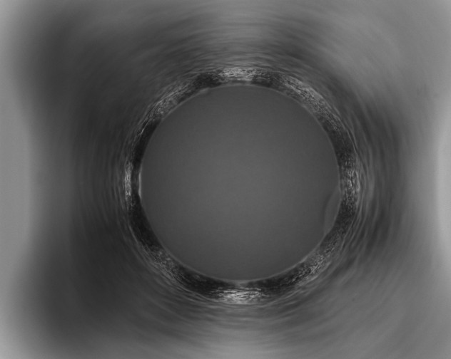 X0000096980504200802081410