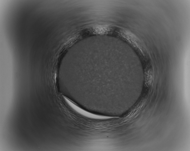 X0000096980505200802081410