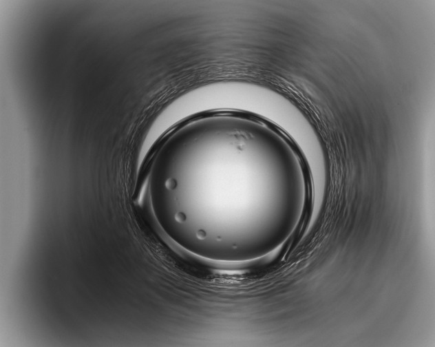 X0000096980507200802081410