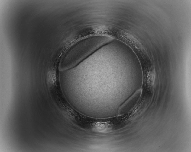 X0000096980508200802081410