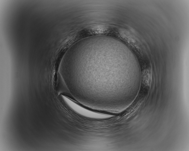 X0000096980509200802081410