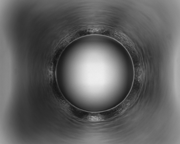 X0000096980510200802081410