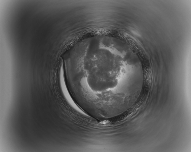 X0000096980511200802081410