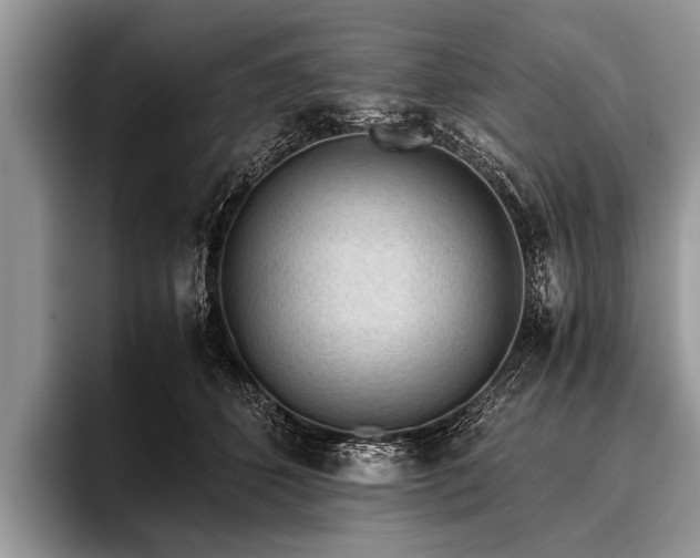 X0000096980512200802081410