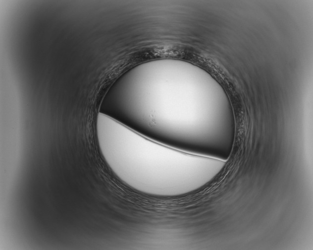 X0000096980513200802081410