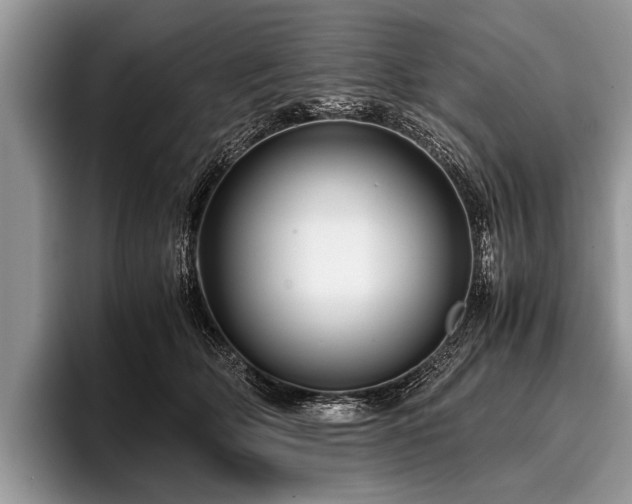 X0000096980514200802081410