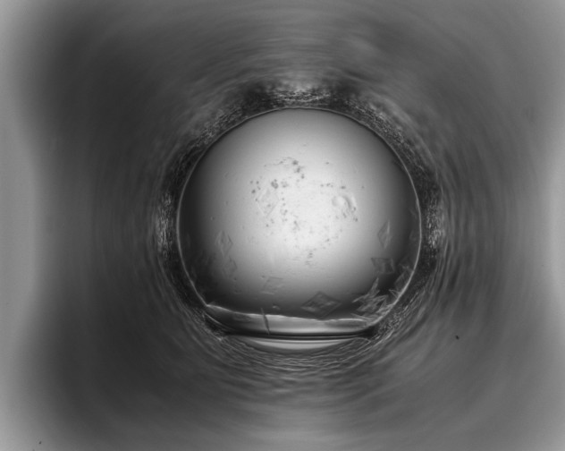 X0000096980515200802081410