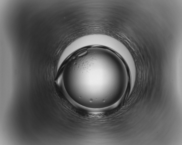 X0000096980516200802081410