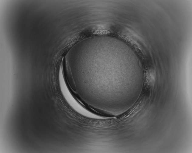 X0000096980517200802081410