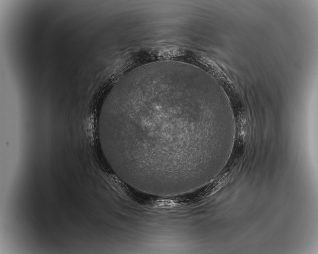 X0000096980519200802081410