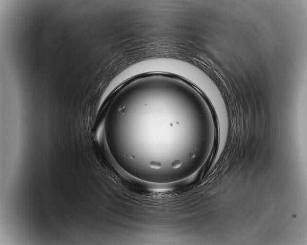 X0000096980520200802081410