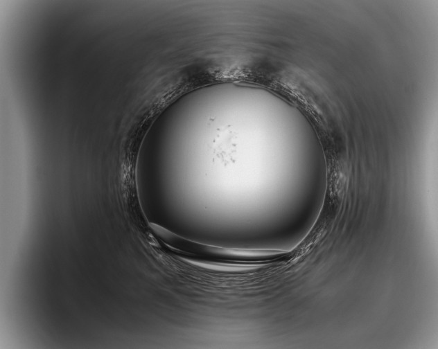 X0000096980521200802081410