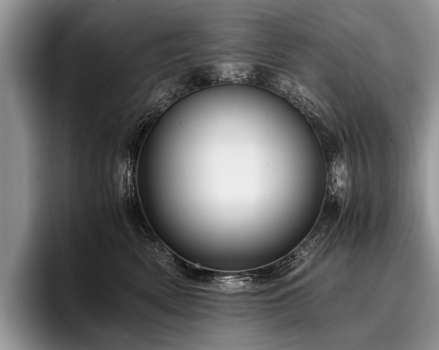 X0000096980522200802081410