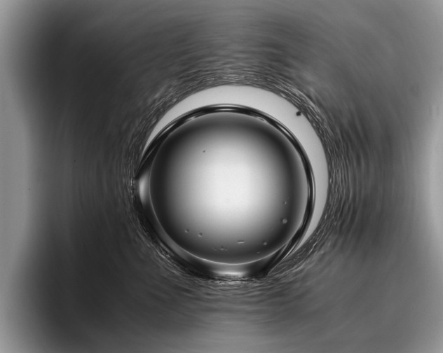 X0000096980523200802081410