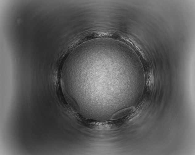 X0000096980524200802081410