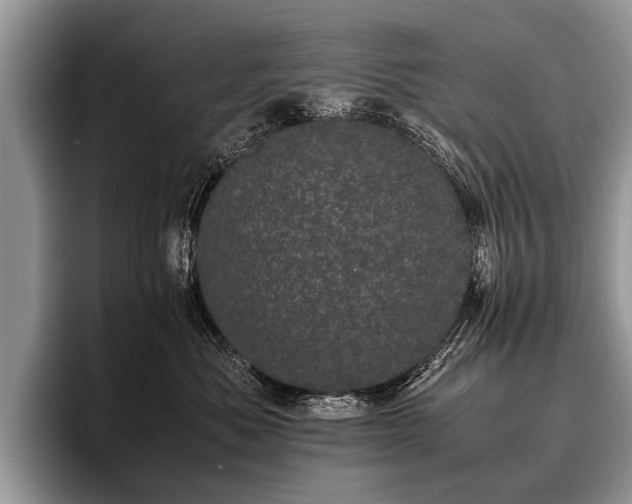 X0000096980525200802081410