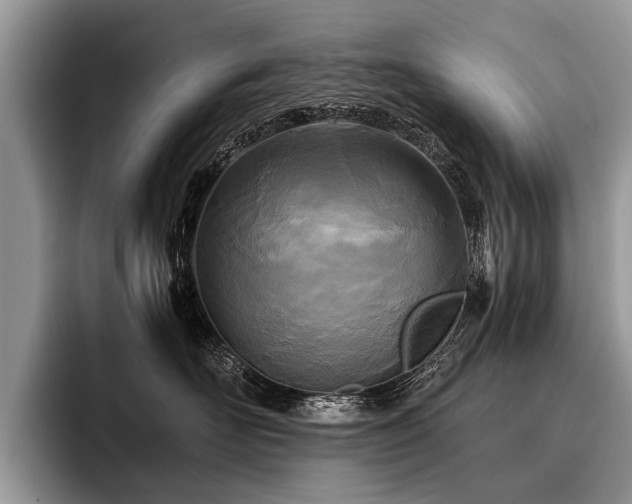 X0000096980526200802081410