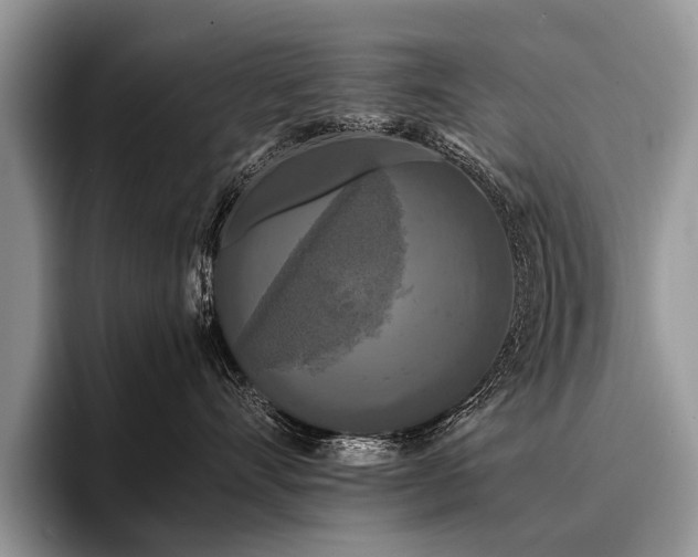 X0000096980528200802081410