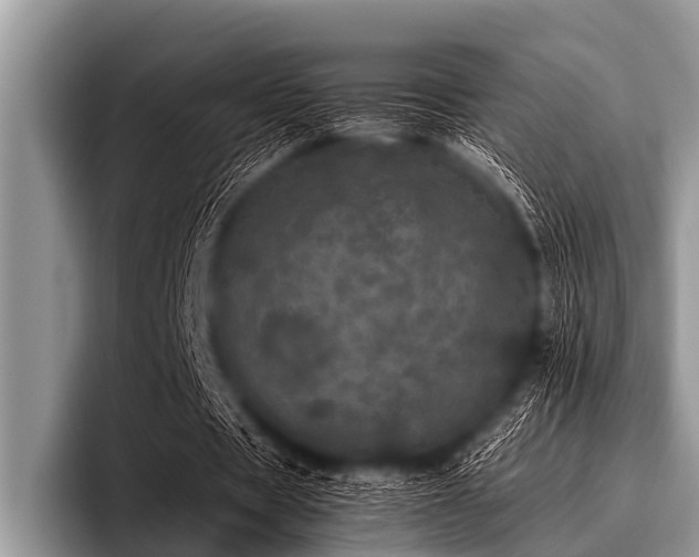 X0000096980529200802081409