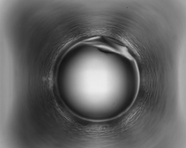 X0000096980530200802081409