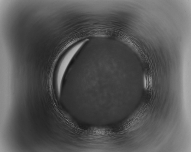 X0000096980531200802081409