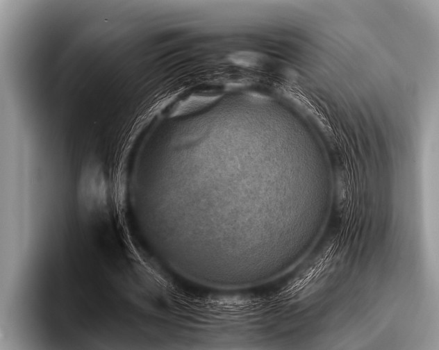 X0000096980533200802081409