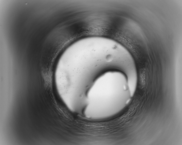 X0000096980534200802081409