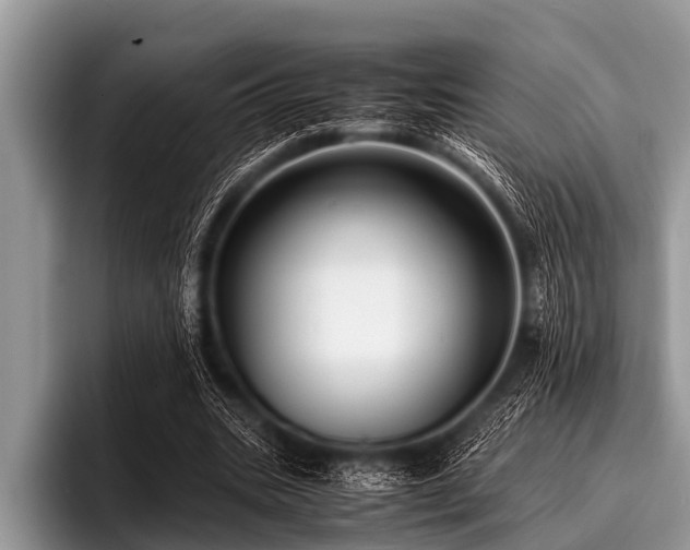 X0000096980535200802081409