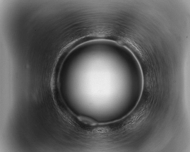 X0000096980536200802081409