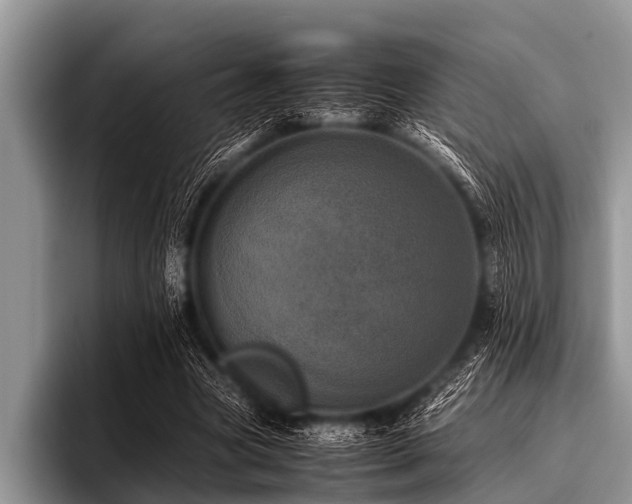 X0000096980537200802081409